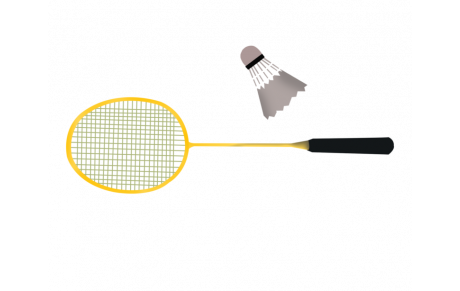Badminton Adultes